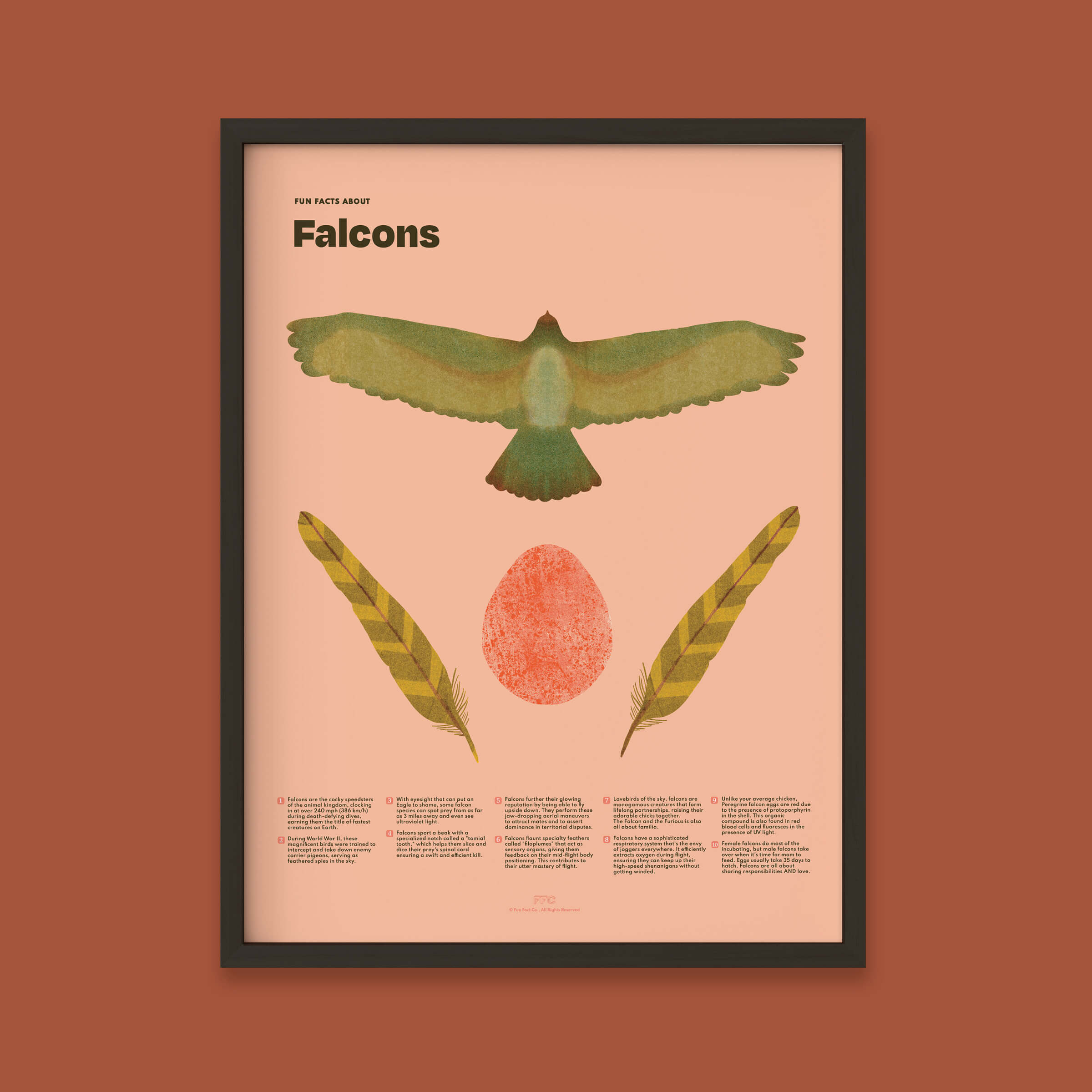 Falcon Fun Facts Print - 12x16" / Black Frame