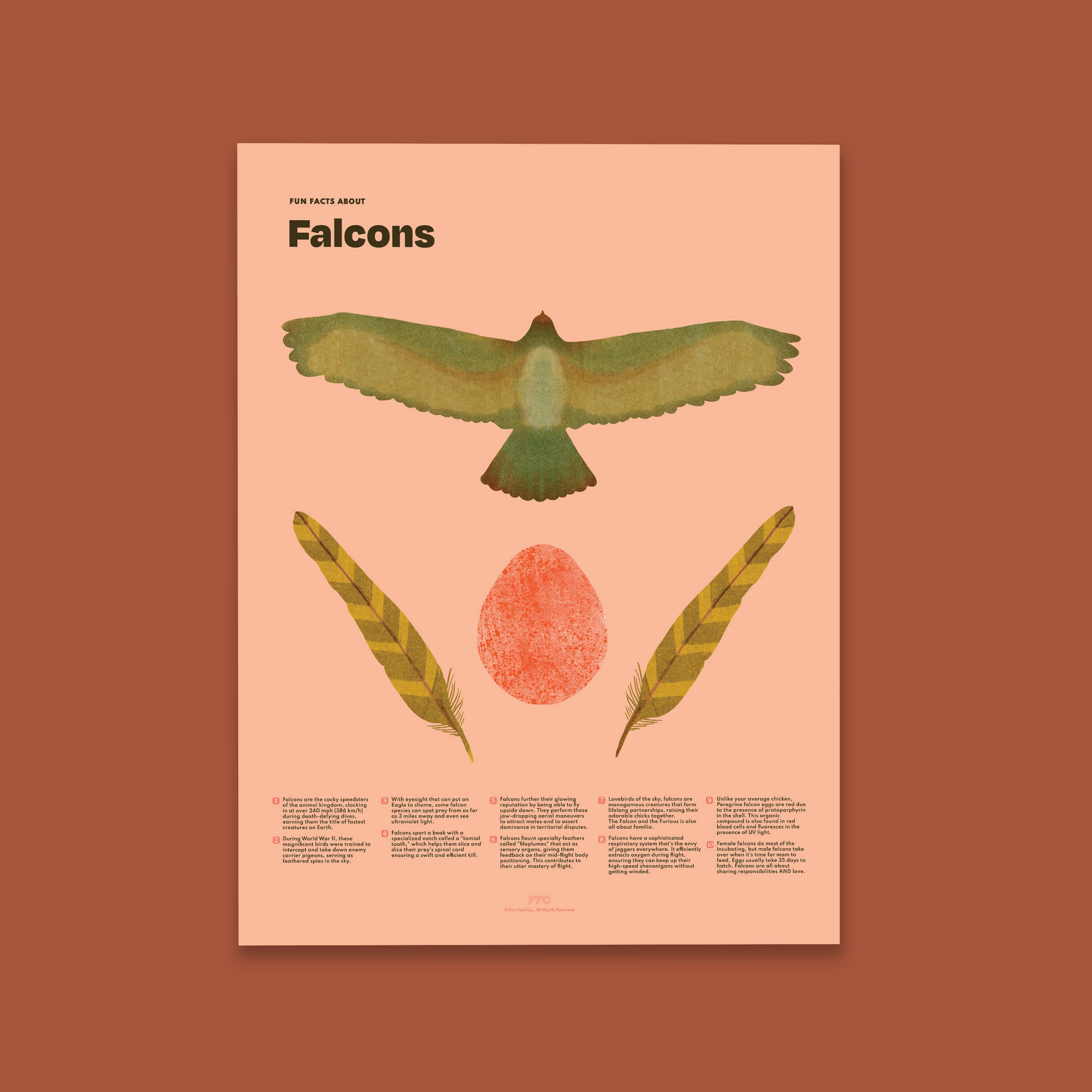 Falcon Fun Facts Print - 24x36" / Unframed