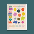 Fun Facts About Feelings Print - 12x16" / White Frame