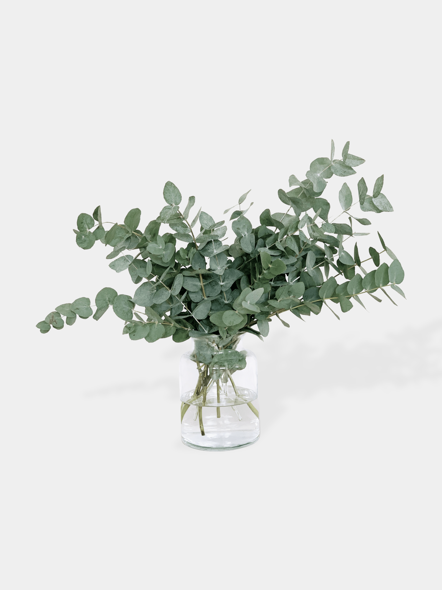 A Botanical Bunch - Large