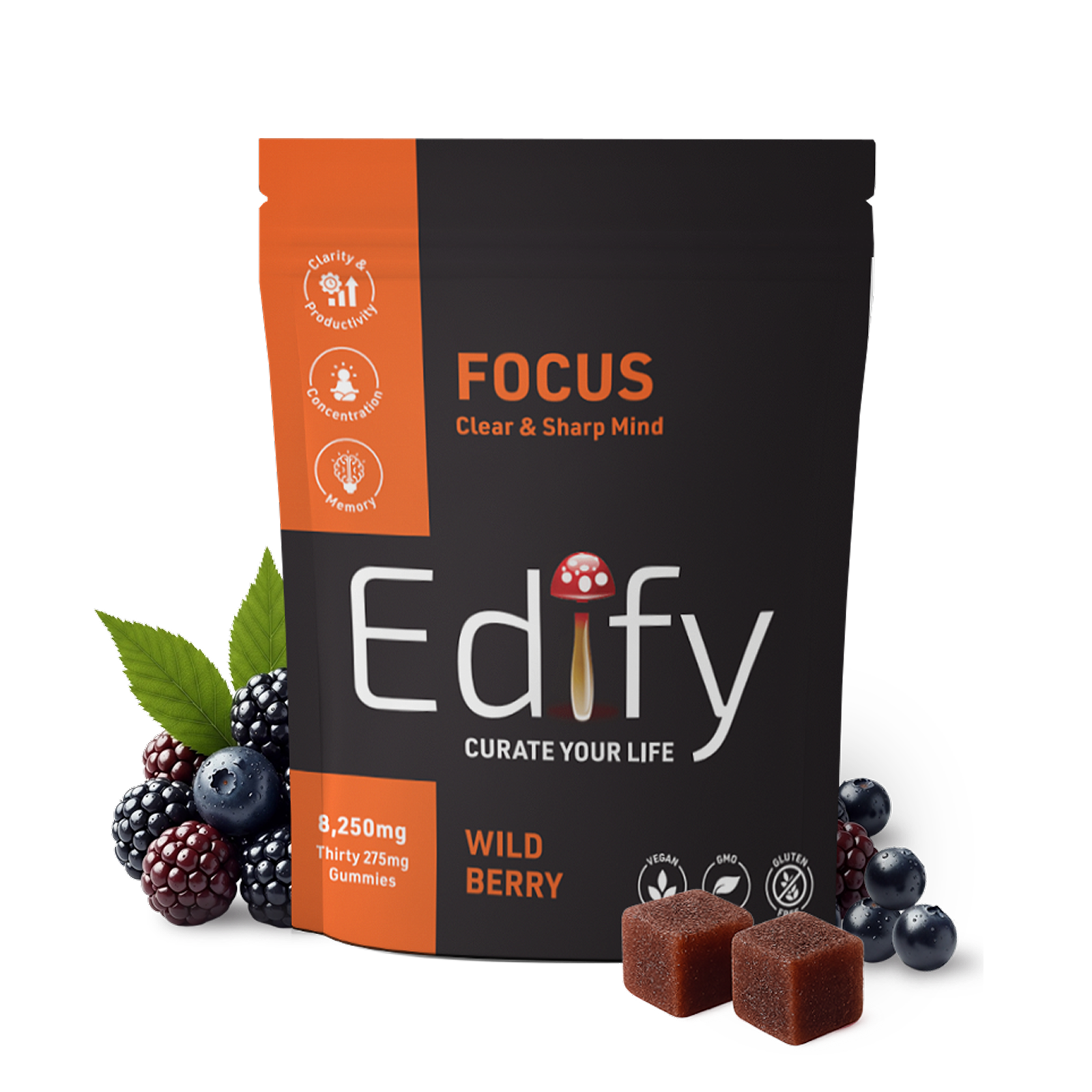 Focus - Daily Brain Health Mushroom Gummy - 30 ct.