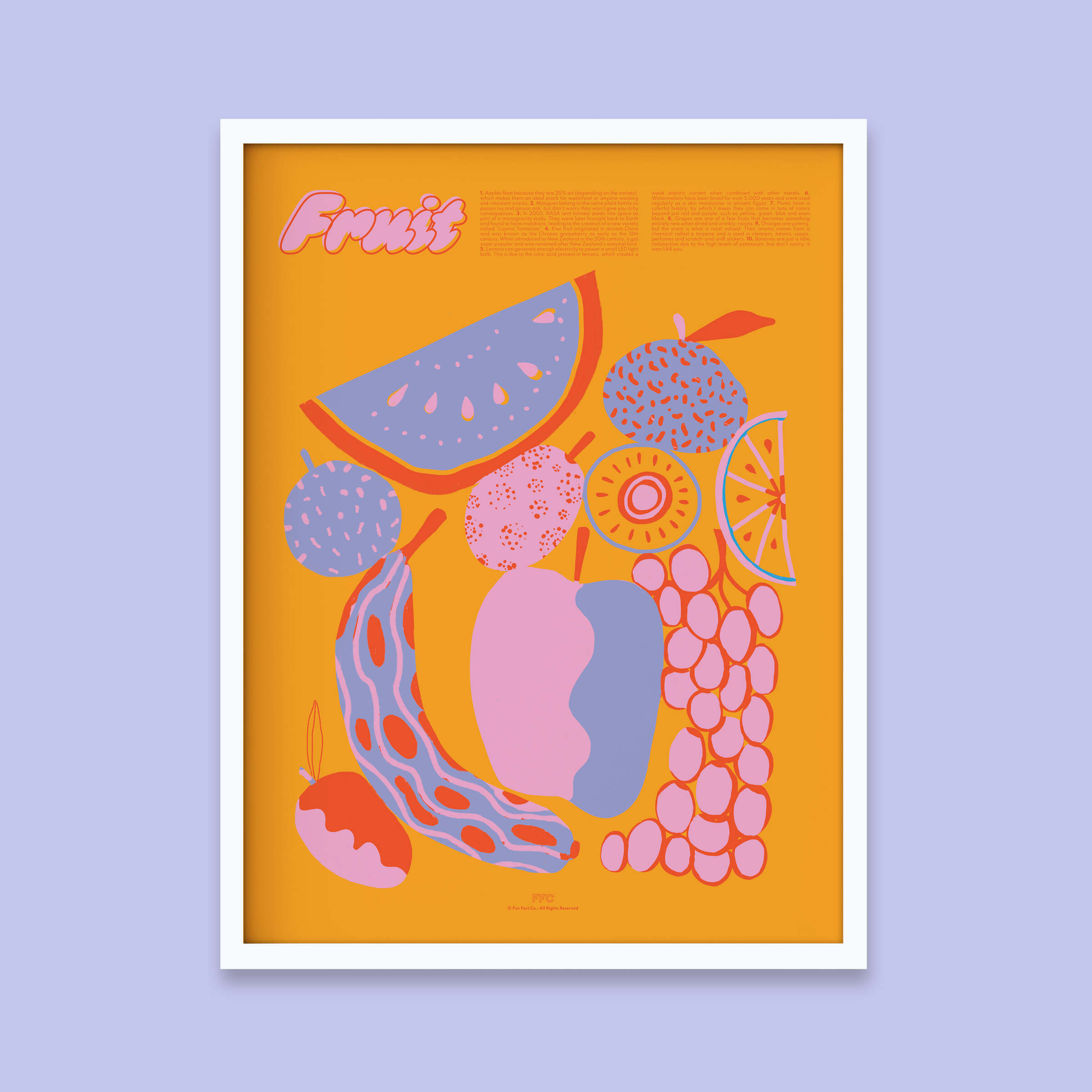 Fruit Fun Facts Print - 24x36" / White Frame