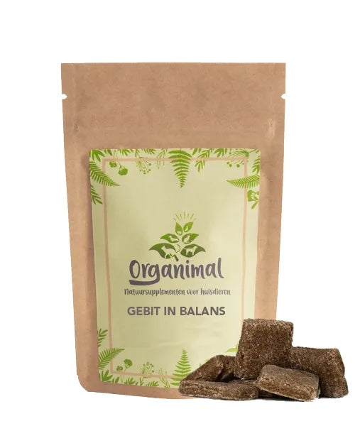 Gebit in Balans – Honden - 75 stuks