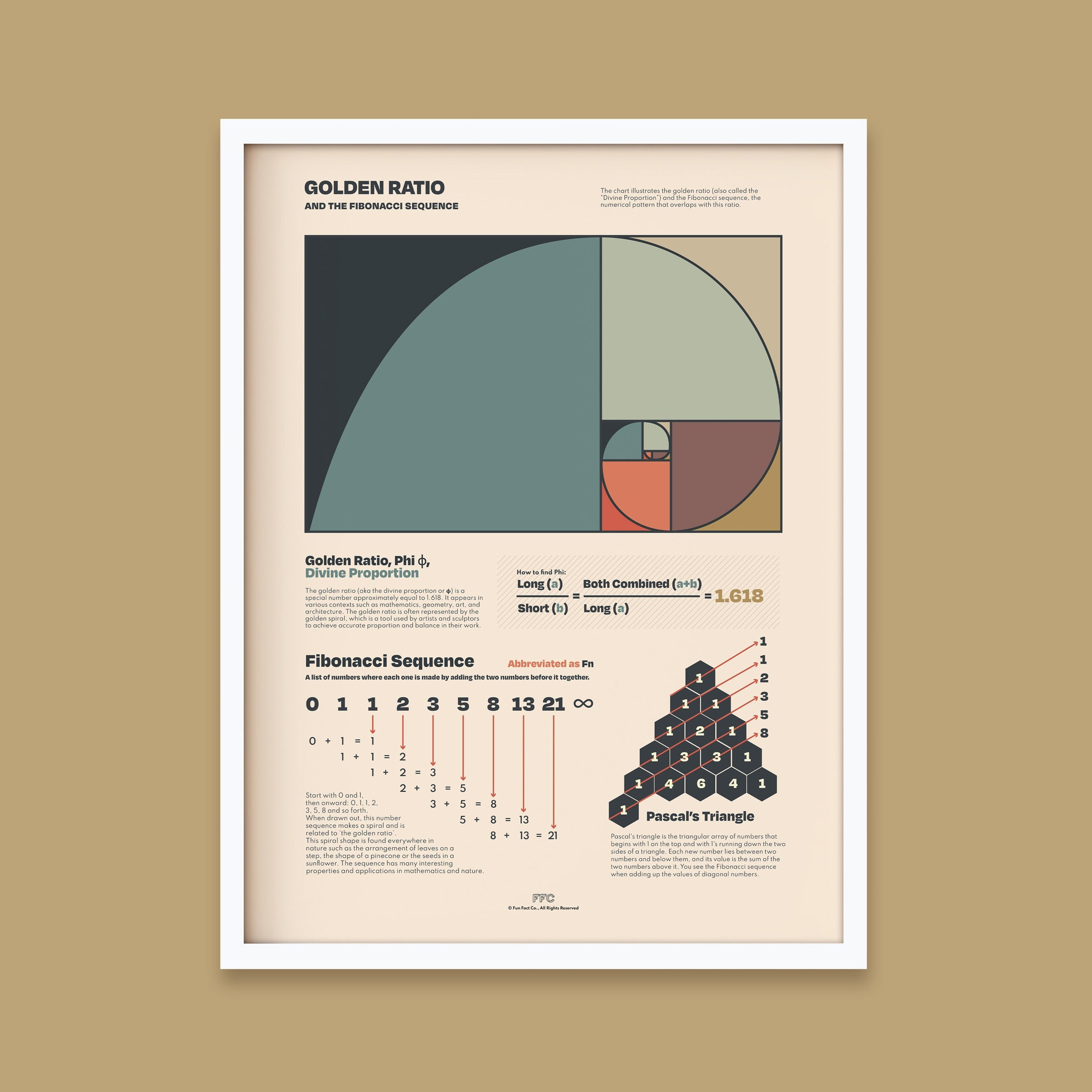 Golden Ratio Chart Print - 12x16" / White Frame