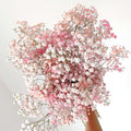 Baby's Breath - Letterbox / Pink + White