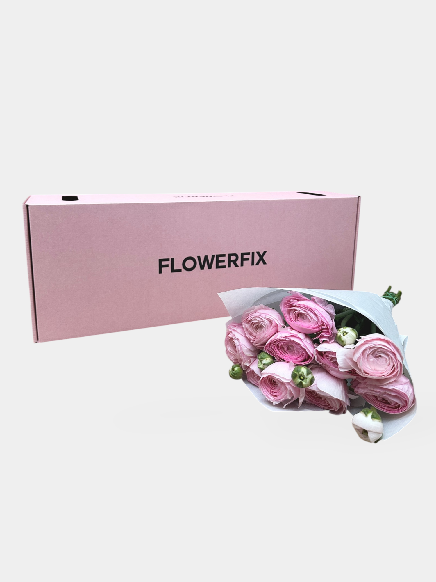 Pink Italian Ranunculus - 10 Stems