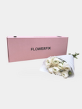 White Italian Ranunculus - 10 Stems