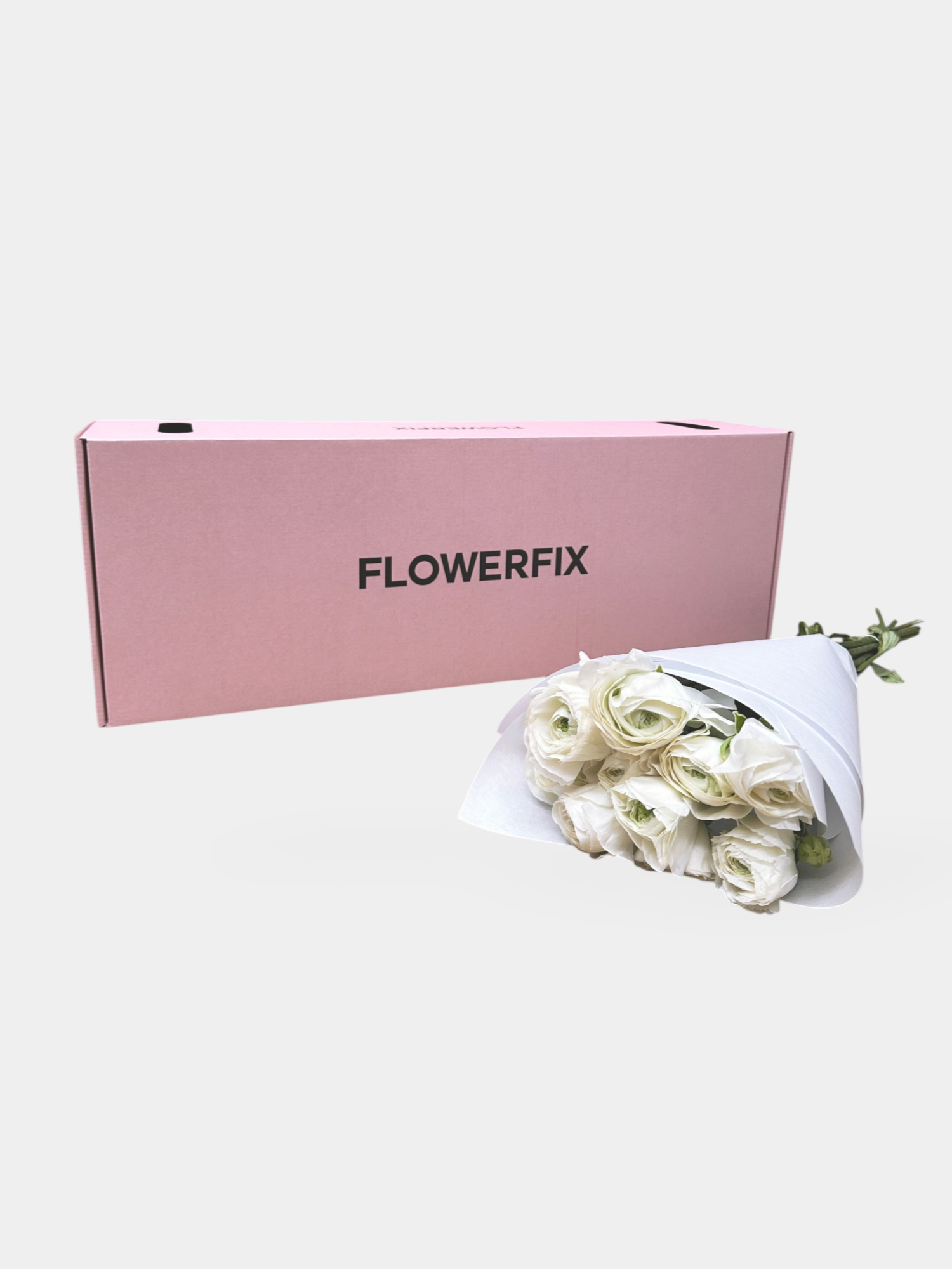White Italian Ranunculus - 10 Stems