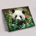 Panda Crystal Art Canvas Kit 40x50cm
