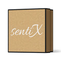 Gift Box (Empty) - Natural Kraft