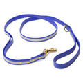 Biothane Dog Leashes (Blue - Reflective) - 5.75 ft