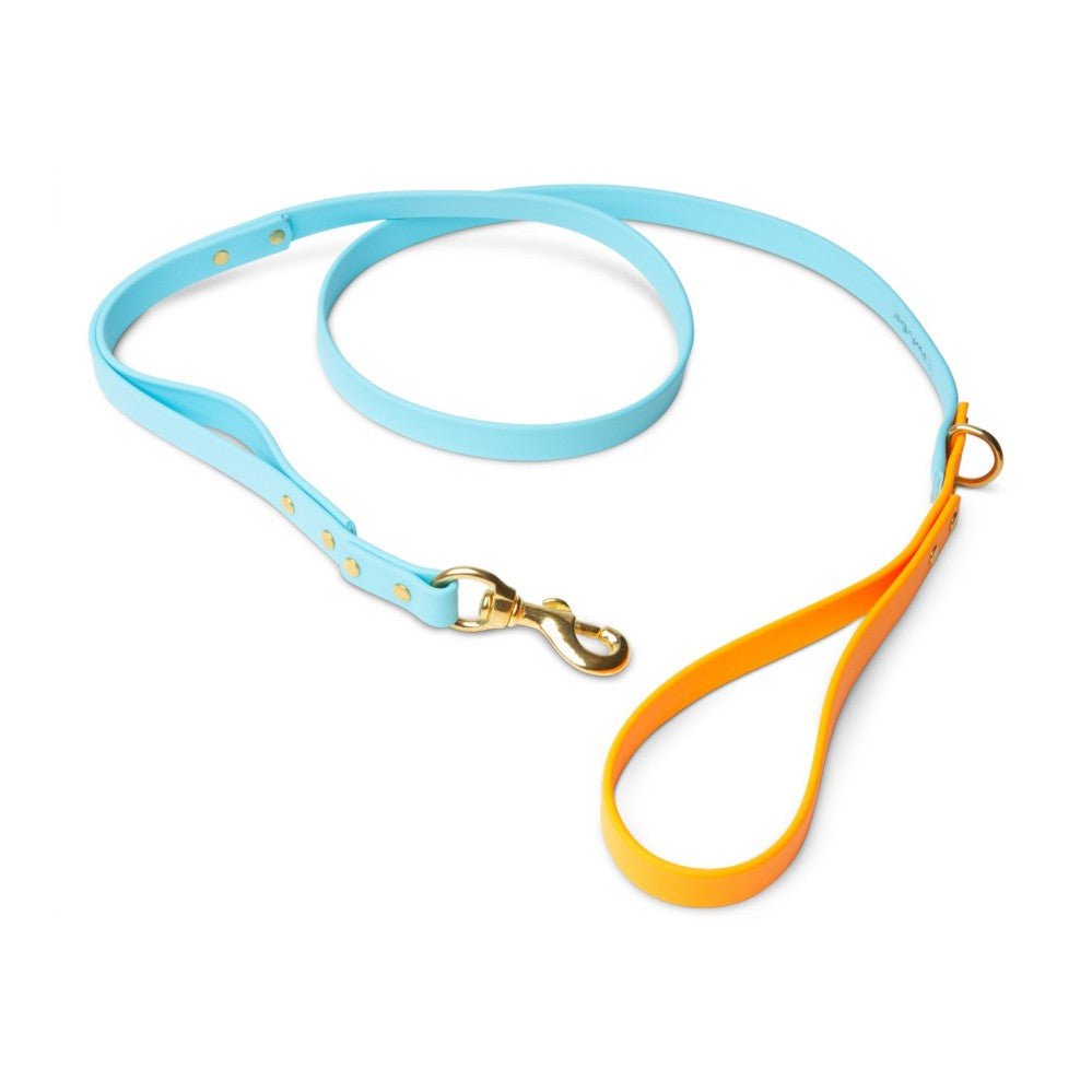 Biothane Dog Leashes (Blue/Orange) - 4.25 ft