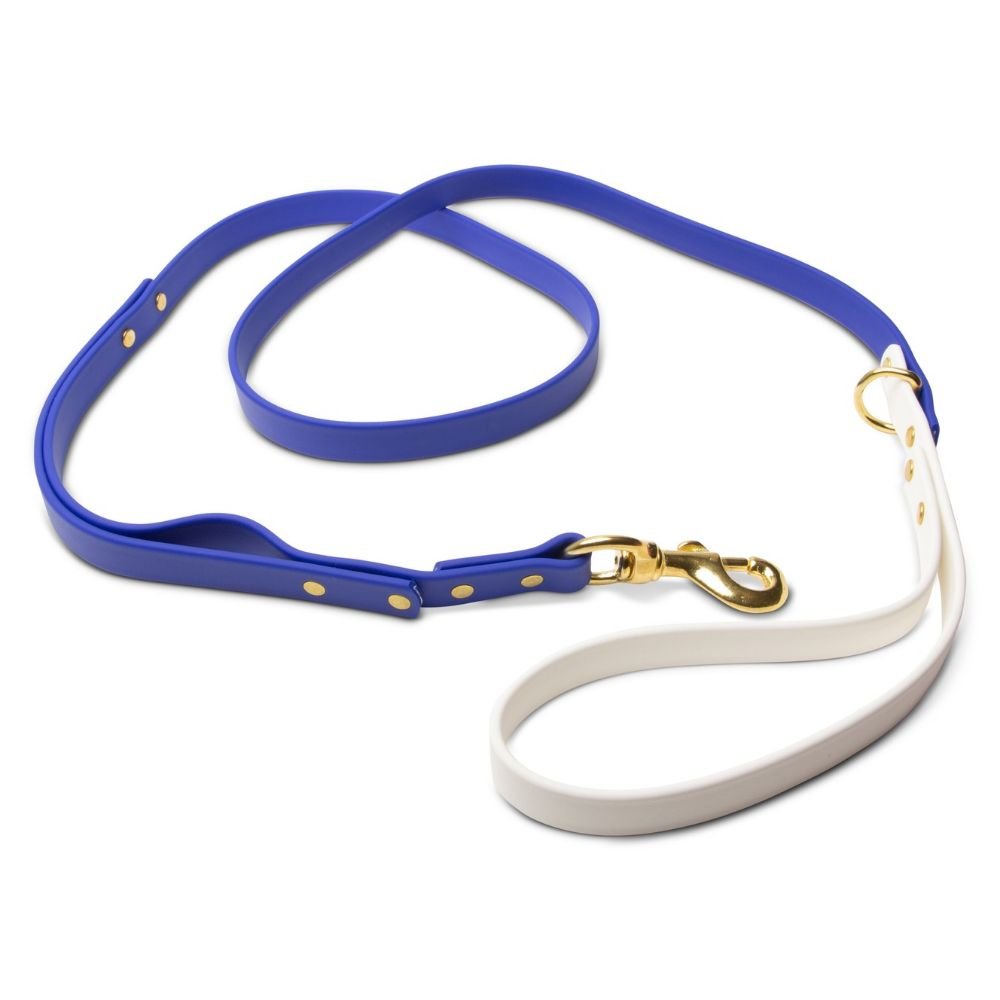 Biothane Dog Leashes (Blue/White) - 4.25 ft