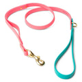 Biothane Dog Leashes (Pink/Teal) - 5.75 ft