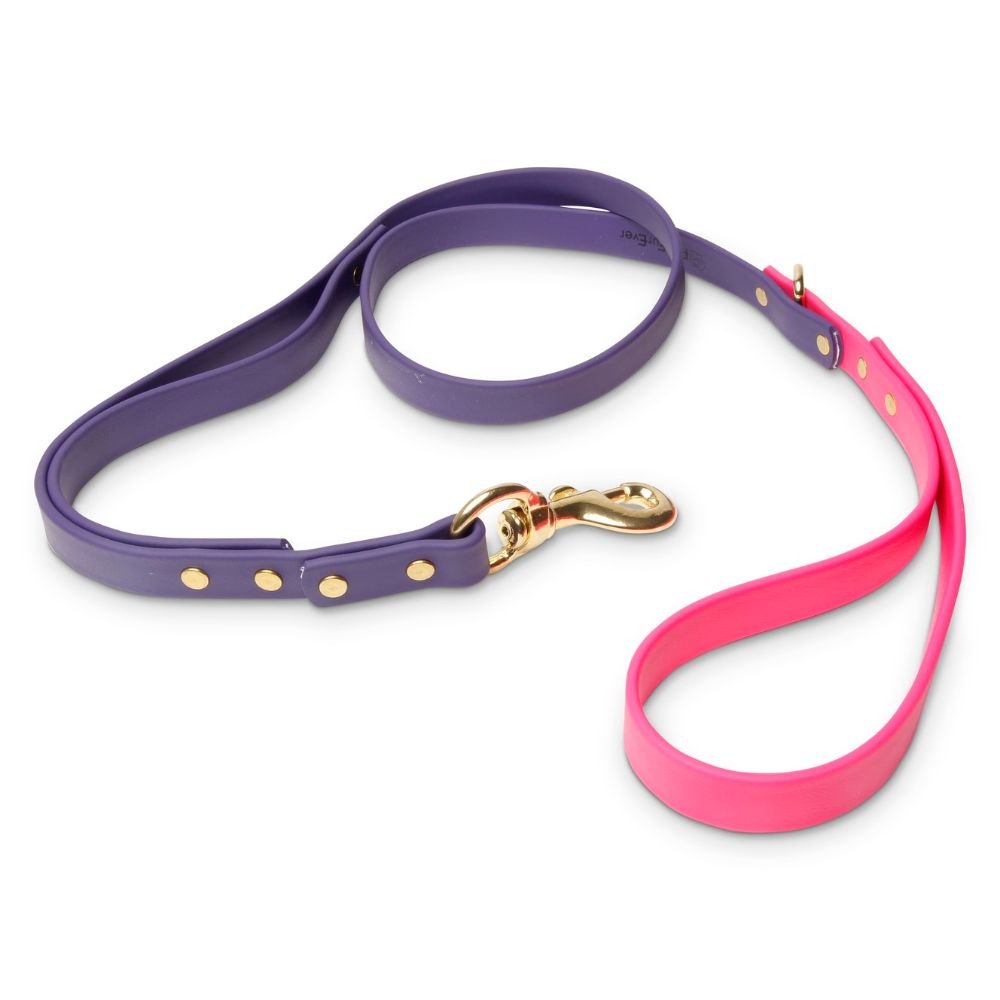 Biothane Dog Leashes (Purple/Pink) - 4.25 ft