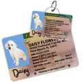 Dog License Tag Florida - Tag and Wallet Card