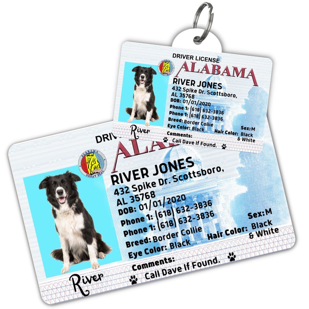 License Tag (Alabama) - Tag and Wallet Card
