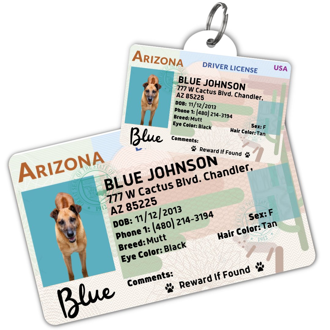 License Tag (Arizona) - Tag and Wallet Card