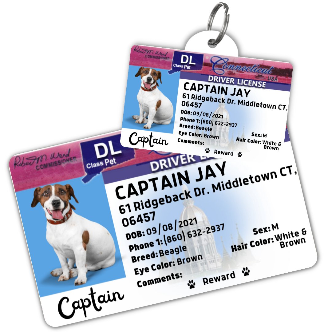 License Tag (Connecticut) - Tag and Wallet Card