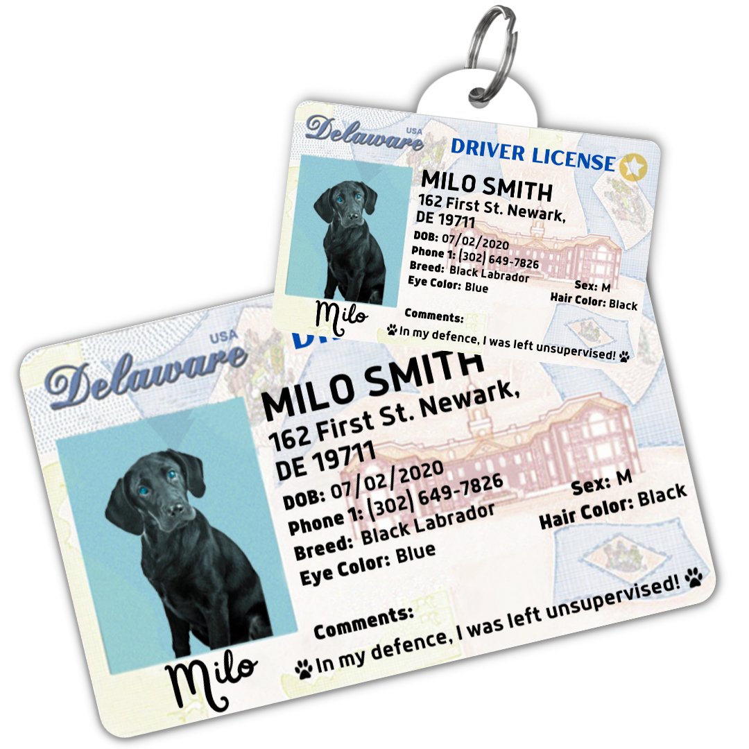 License Tag (Delaware) - Tag
