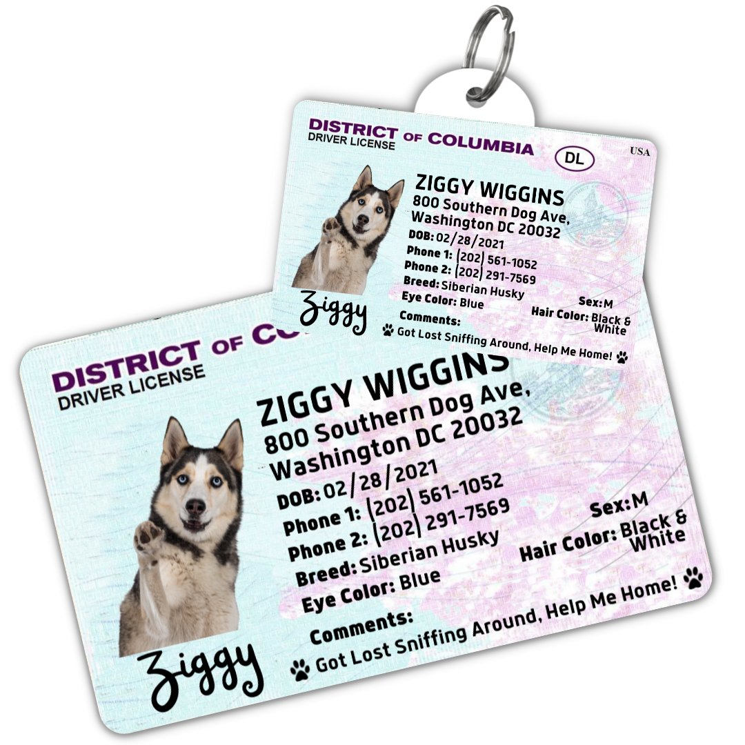 License Tag (District of Columbia) - Tag