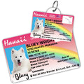 License Tag (Hawaii) - Tag
