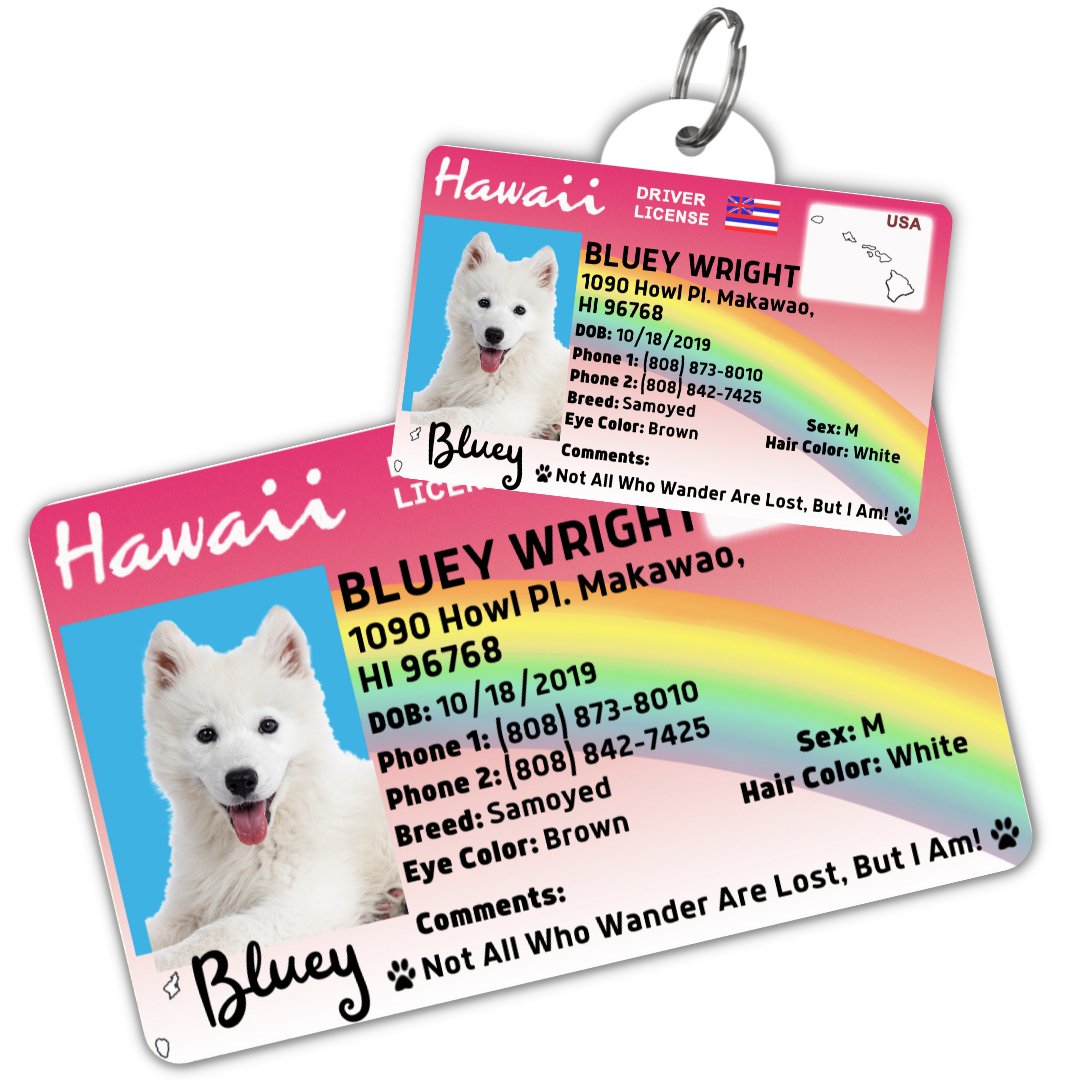License Tag (Hawaii) - Tag