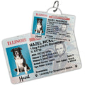 License Tag (Illinois) - Tag