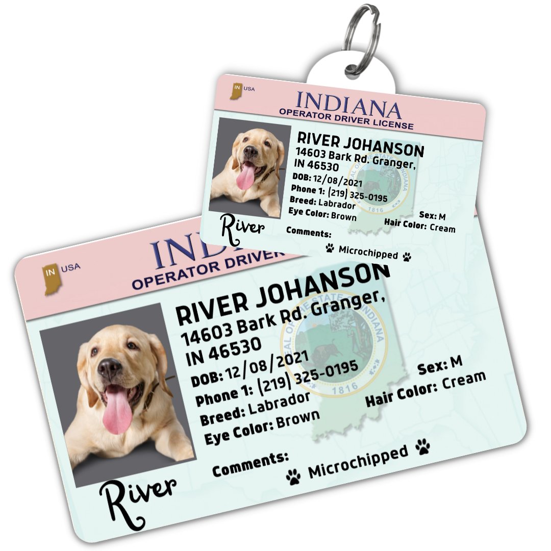 License Tag (Indiana) - Tag