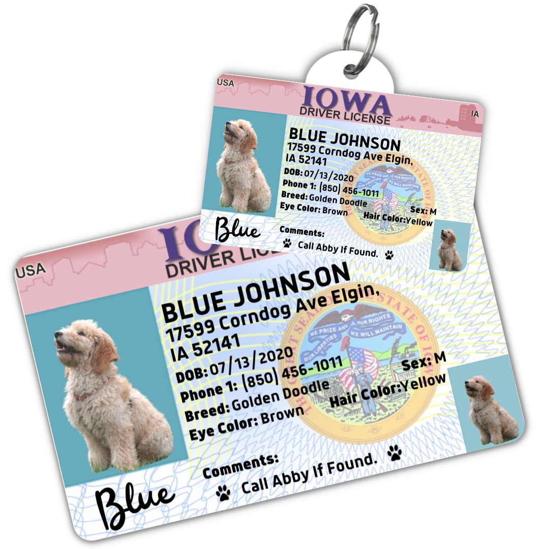 License Tag (Iowa) - Tag