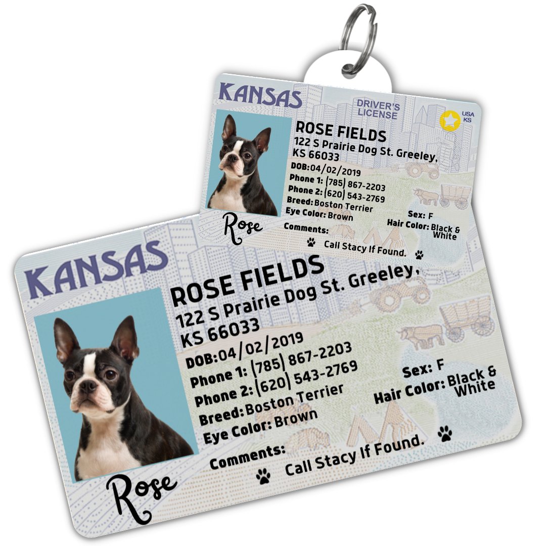 License Tag (Kansas) - Tag
