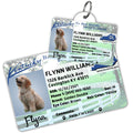 License Tag (Kentucky) - Tag and Wallet Card