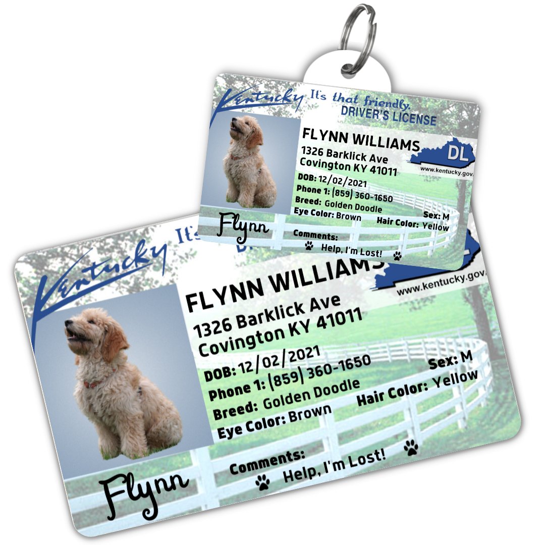 License Tag (Kentucky) - Tag and Wallet Card
