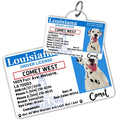 License Tag (Louisiana) - Tag