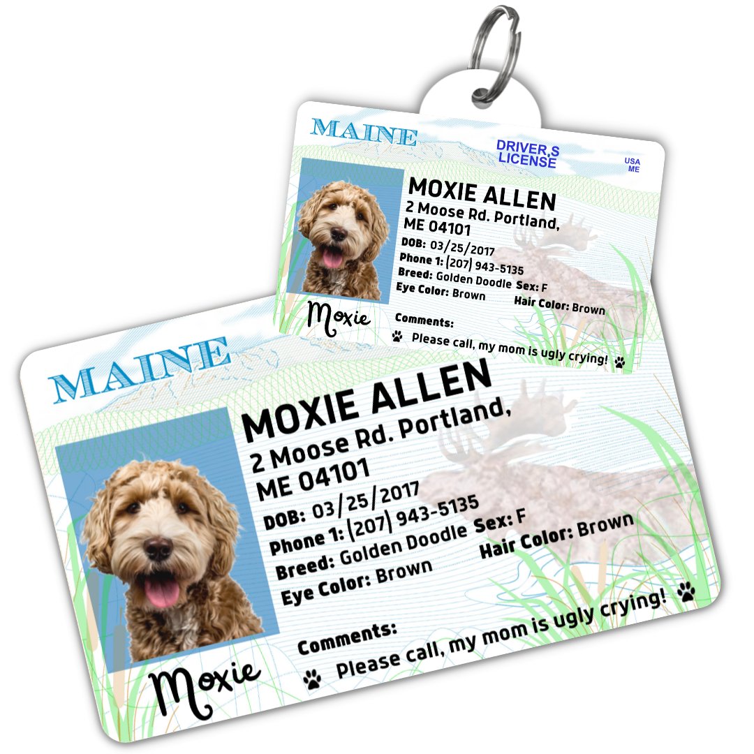 License Tag (Maine) - Tag