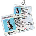 License Tag (Massachusetts) - Tag
