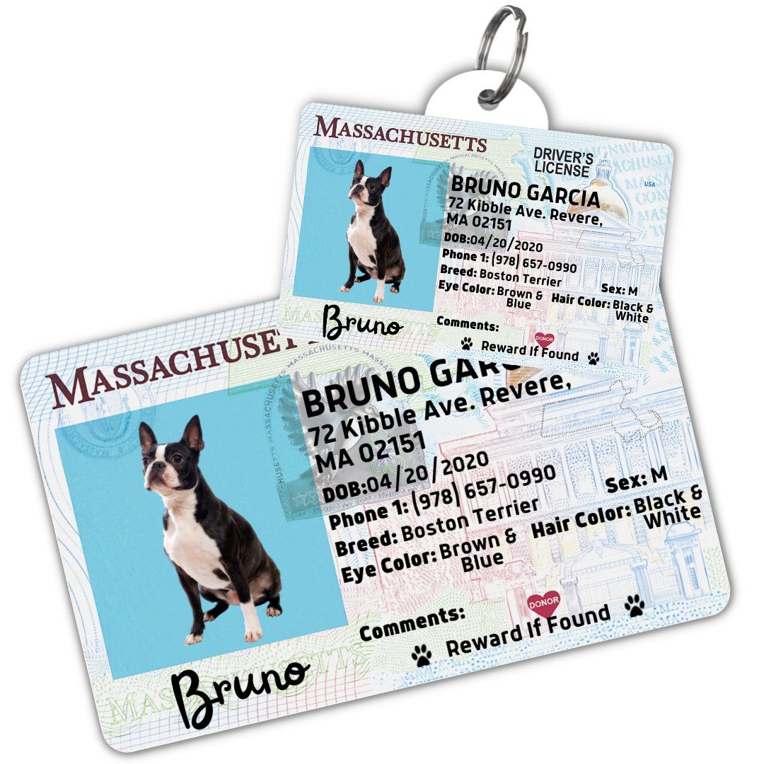 License Tag (Massachusetts) - Tag