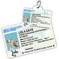License Tag (Michigan) - Tag