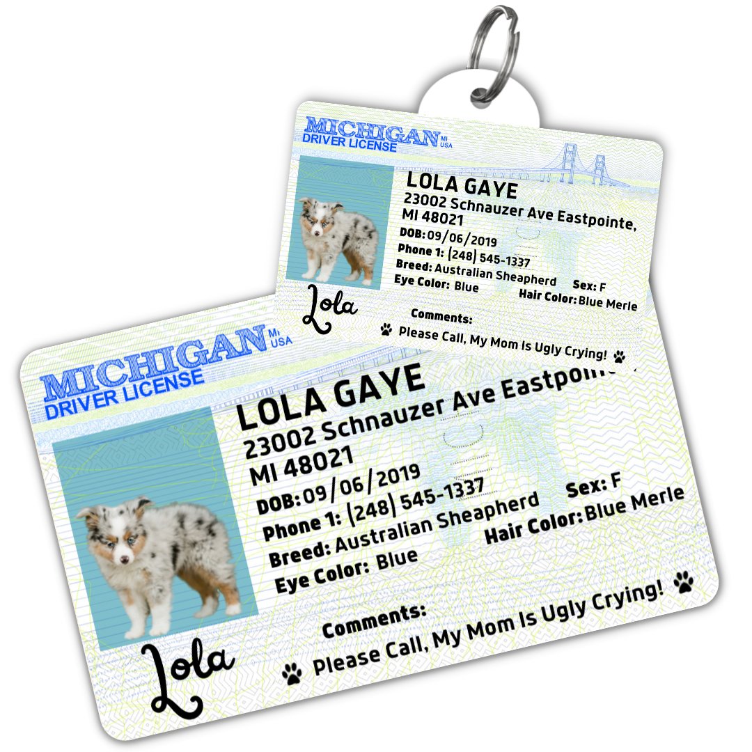 License Tag (Michigan) - Tag