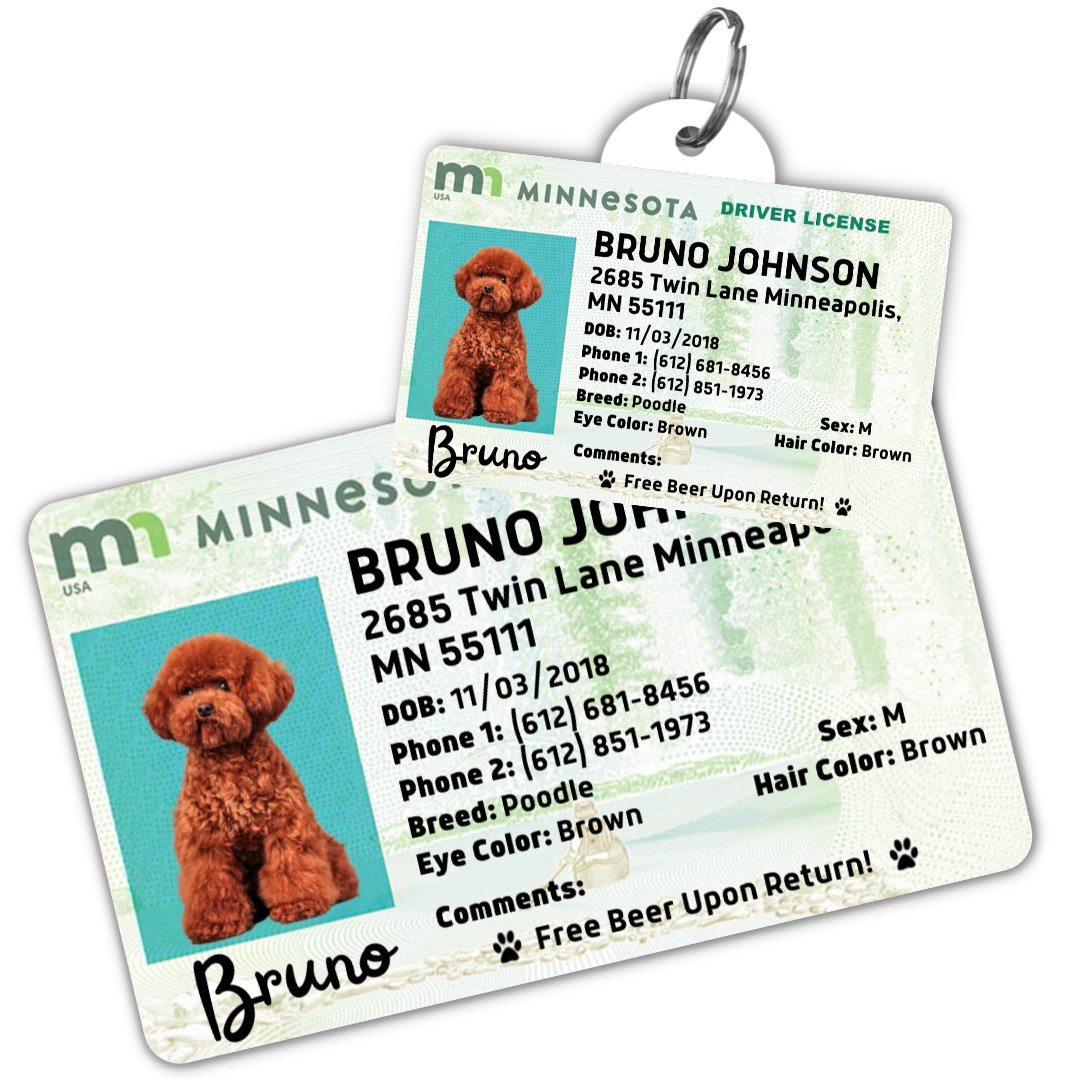 License Tag (Minnesota) - Tag and Wallet Card