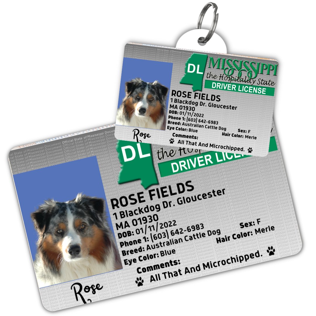 License Tag (Mississippi) - Tag