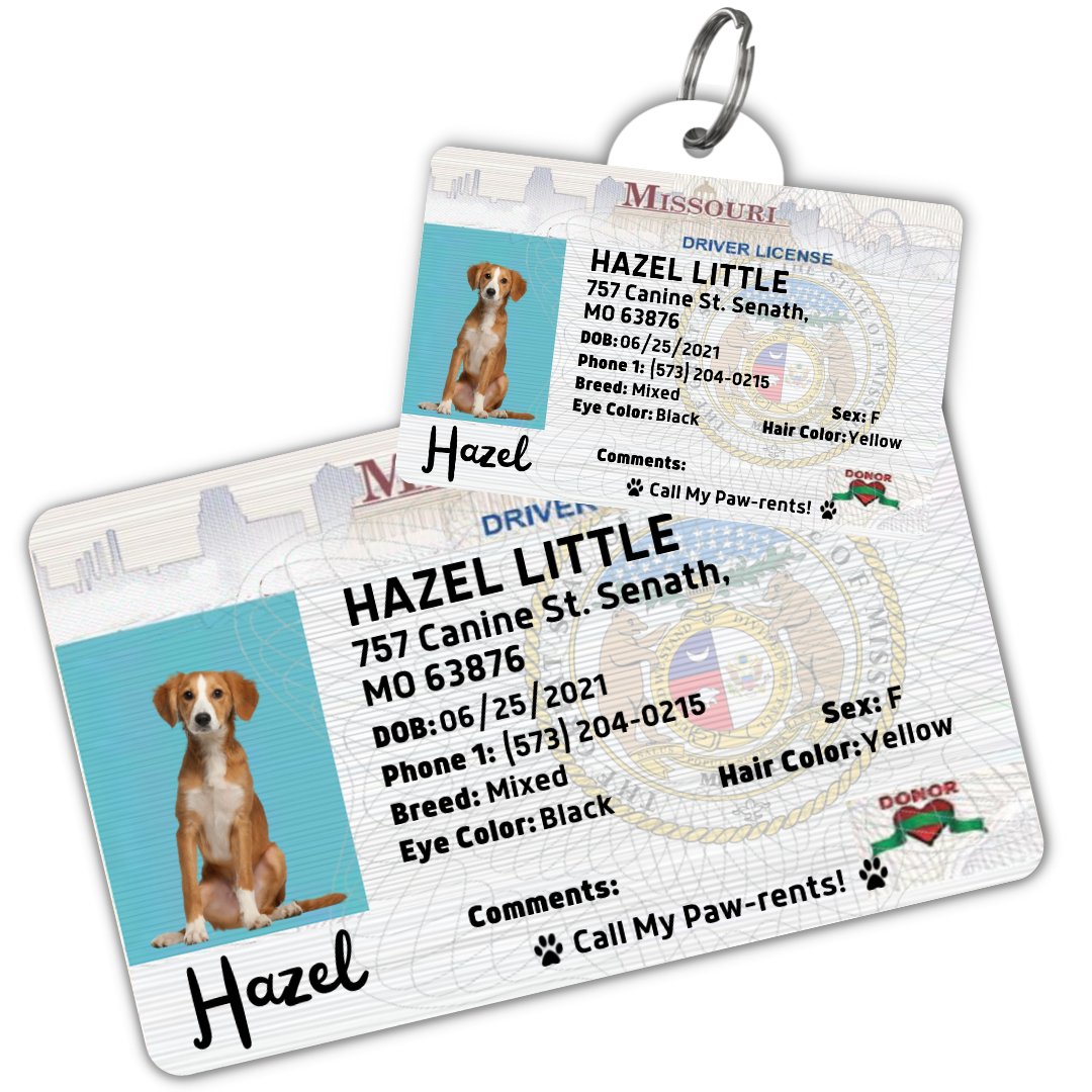 License Tag (Missouri) - Tag