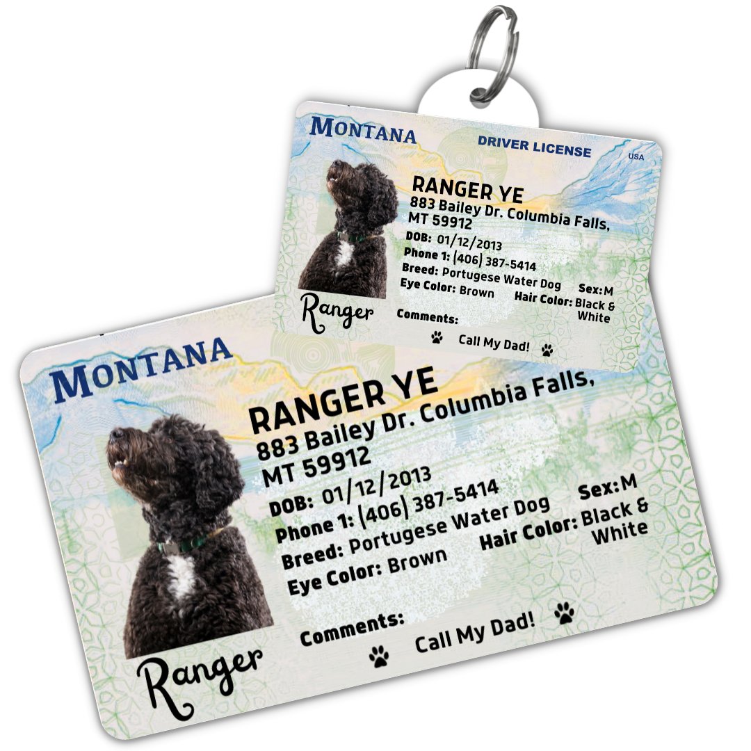 License Tag (Montana) - Tag