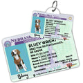 License Tag (Nebraska) - Tag