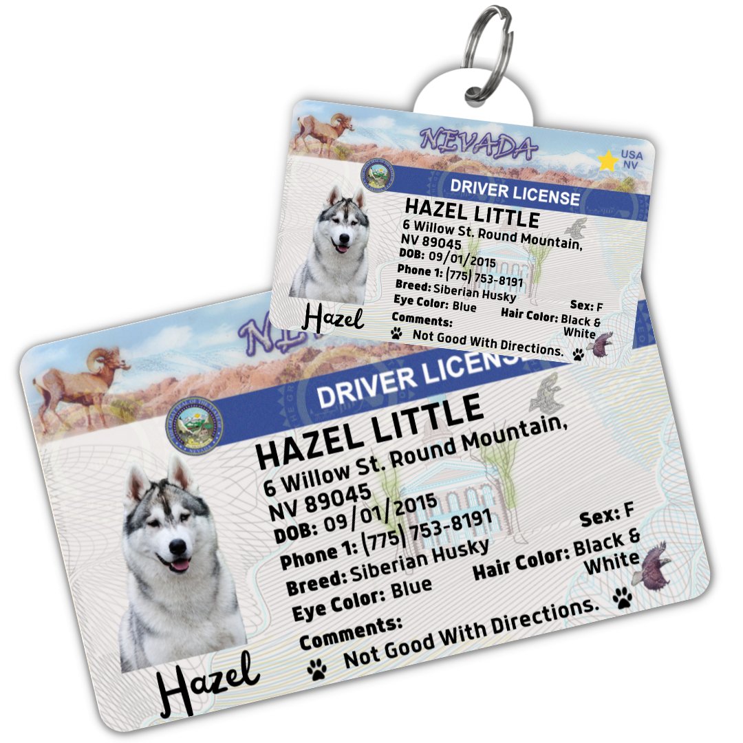 License Tag (Nevada) - Tag