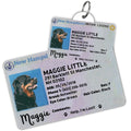 License Tag (New Hampshire) - Tag