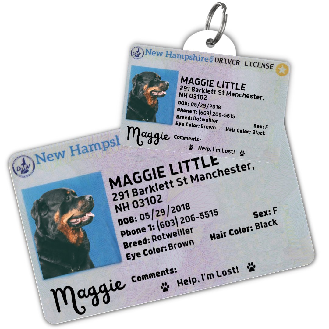 License Tag (New Hampshire) - Tag