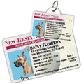 License Tag (New Jersey) - Tag