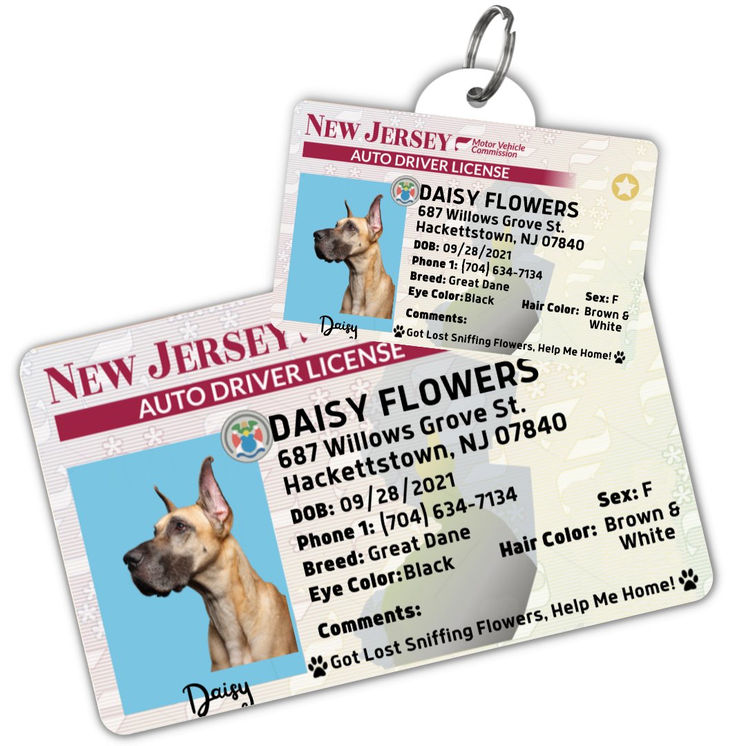 License Tag (New Jersey) - Tag