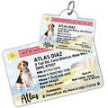 License Tag (New Mexico) - Tag